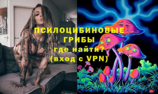 прущая мука Вязники