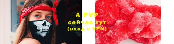крисы Вяземский