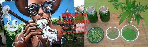 крисы Вяземский
