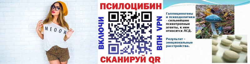 как найти закладки  Петровск-Забайкальский  Псилоцибиновые грибы мицелий 